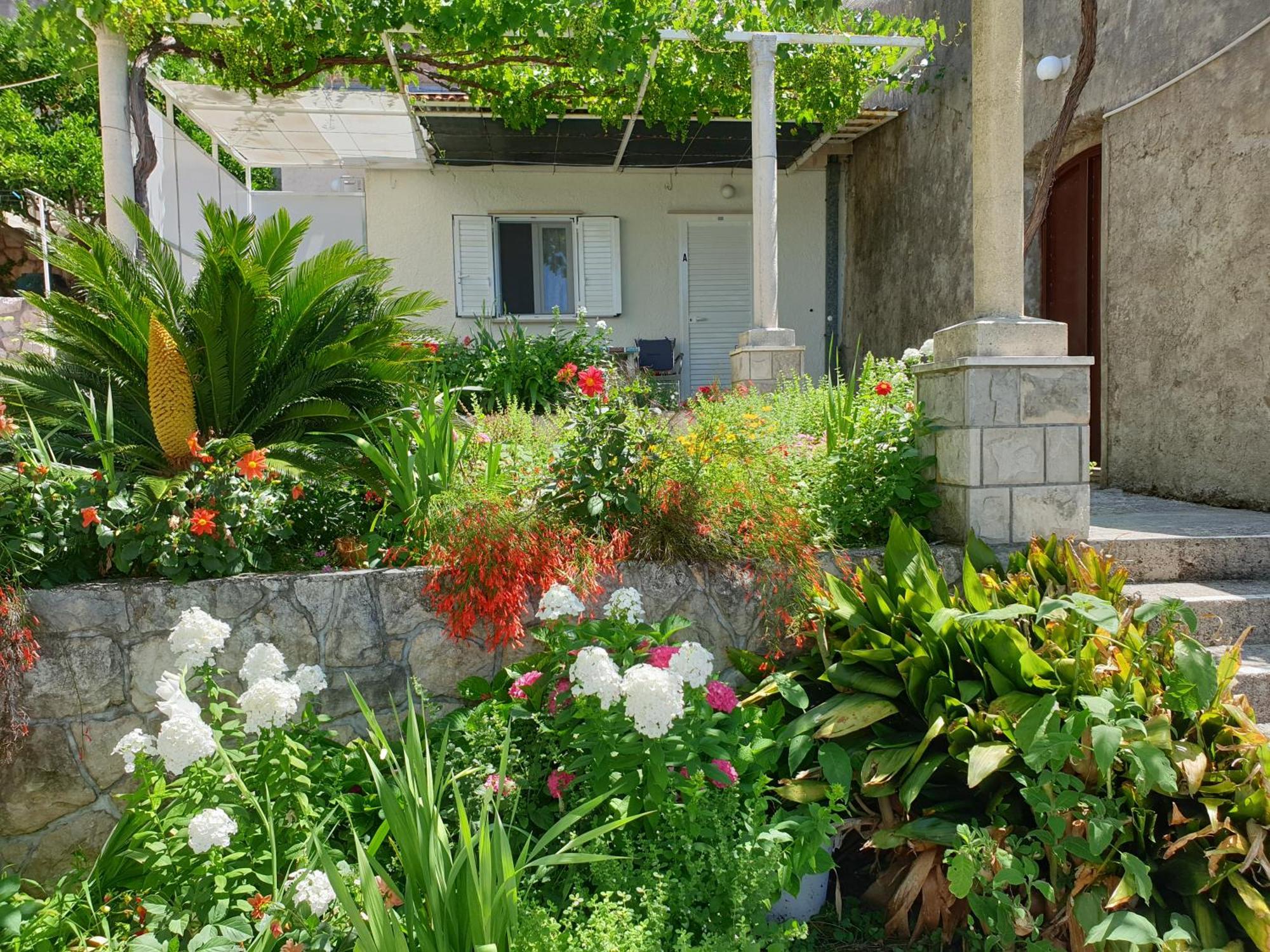 Apartments Bajo - Free Parking Ντουμπρόβνικ Εξωτερικό φωτογραφία